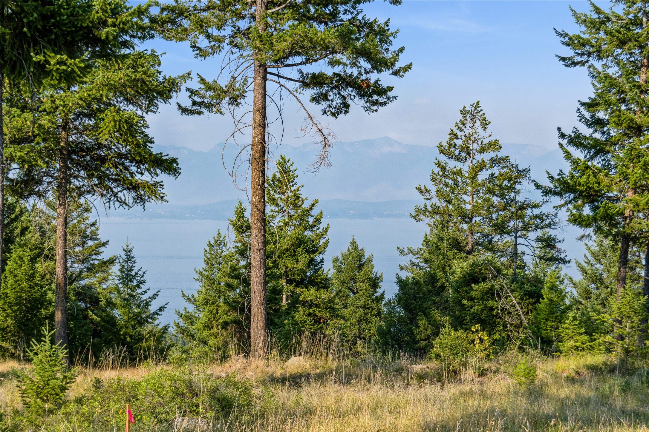 Views for days from this beautiful 3 acres located in the gated community of Lakeside Club.  Private access along with views of Flathead Lake are just a few of the perks.  This lot has a level building site along with power to the property.  Easy access from the main road.