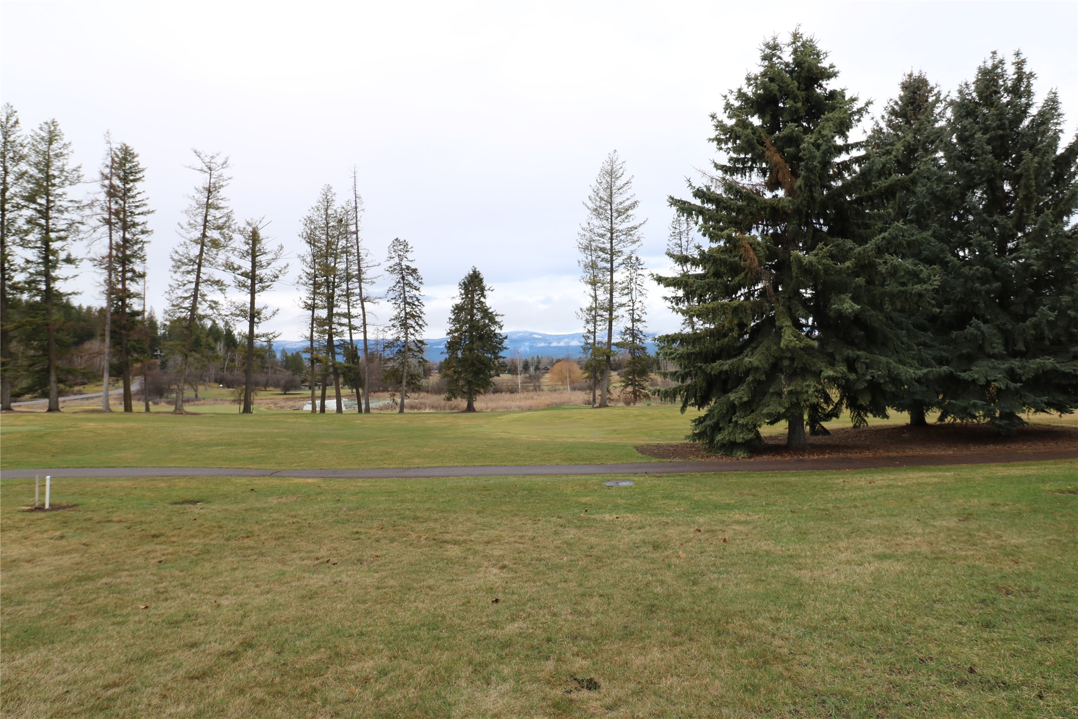 This great Eagle Bend North lot on the 15th tee box awaits your new home. Wonderful views overlooking the golf course, the western mountains, and mature pines.  Good location with nice homes and very convenient to the clubhouse, athletic club, yacht harbor, the village of Bigfork and Flathead Lake. Call Bill Leininger at 406-253-7333 or your real estate professional.