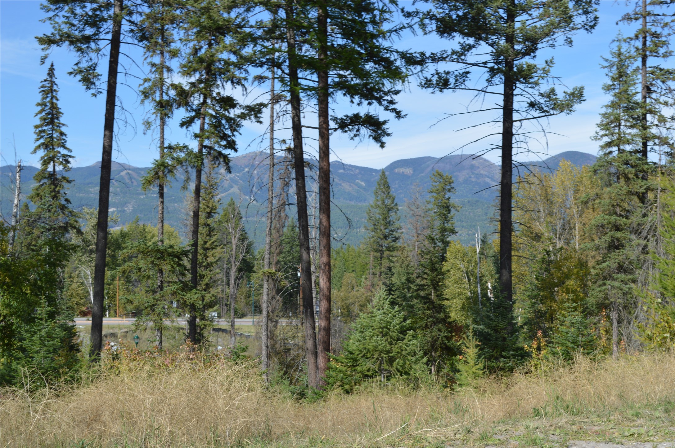 Lot 15, located in the New Rock Ridge Subdivision with Big Mountain Views.  Gentle slope perfect for a walk out basement.  Walking distance to Whitefish Lake Golf Course also the Whitefish legacy Trail System. This lot has it all to build your dream home.