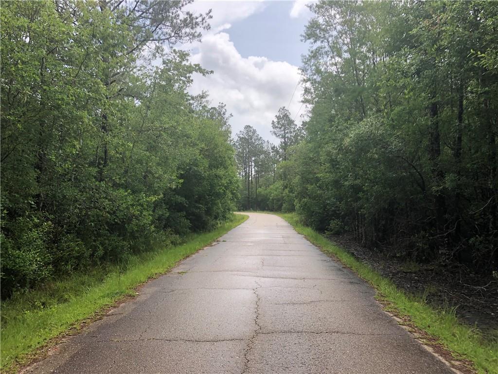 E Moran Road, Pearl River, Louisiana image 13