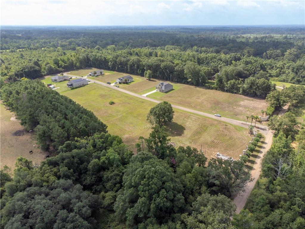 7 Charles Davis Lane, Amite, Louisiana image 3