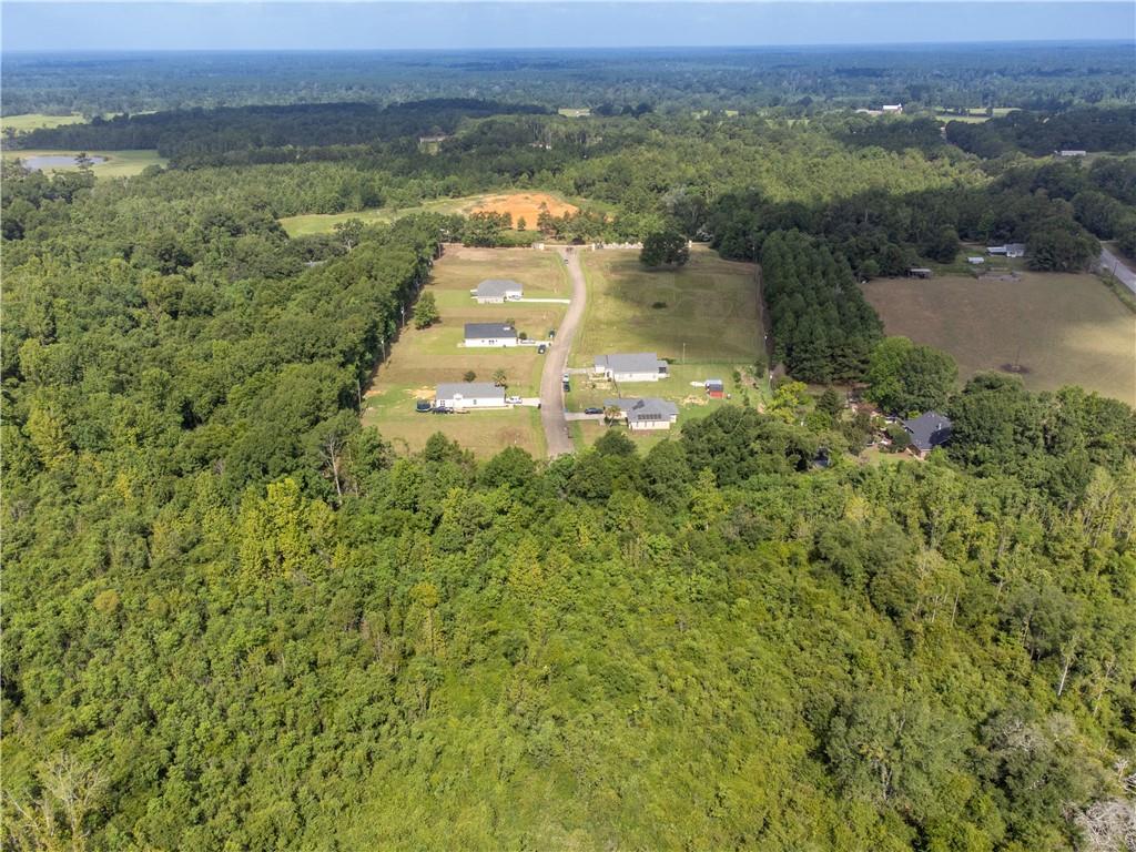 50 Charles Davis Lane, Amite, Louisiana image 11