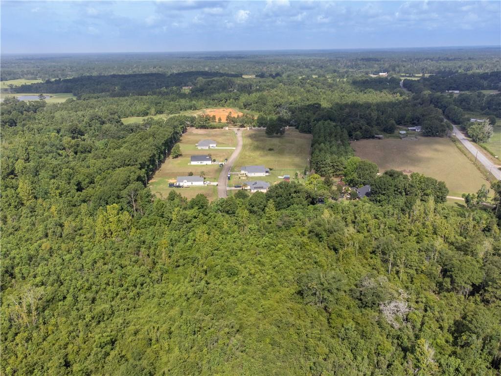 85 Charles Davis Lane, Amite, Louisiana image 10