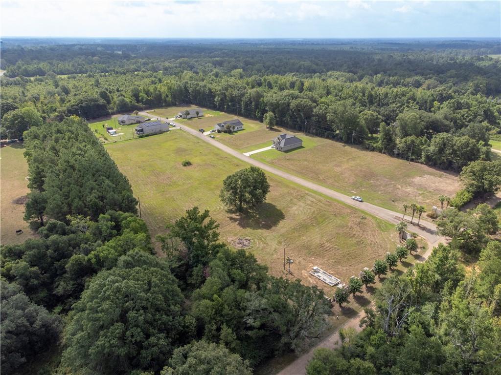 85 Charles Davis Lane, Amite, Louisiana image 4