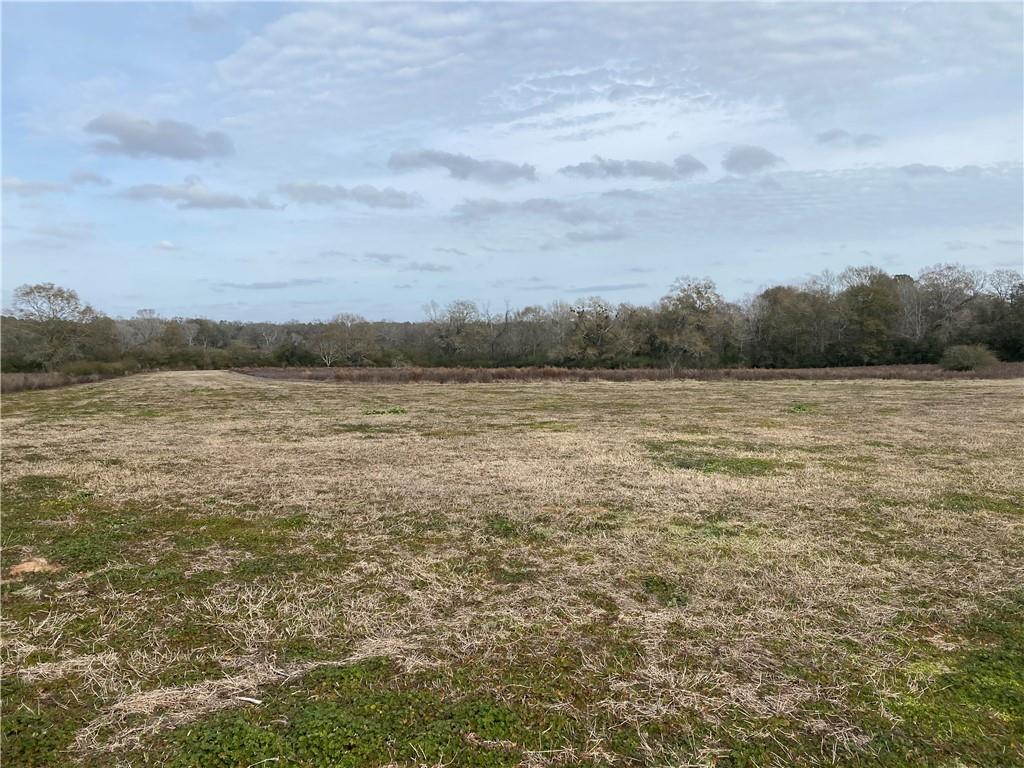 20073 Highway 38, Kentwood, Louisiana image 3