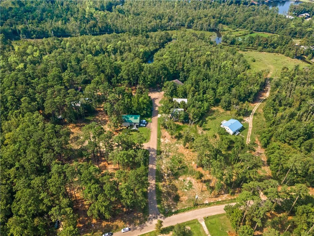 Piney Woods- Lot #2 Lane, Covington, Louisiana image 2