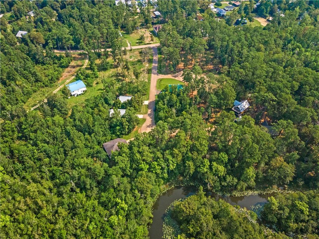 Piney Woods -lot#1 Lane, Covington, Louisiana image 1