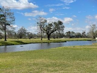 168 River Oaks Drive, La Place, Louisiana image 17