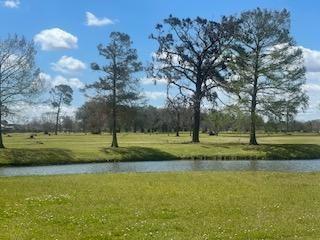 168 River Oaks Drive, La Place, Louisiana image 3