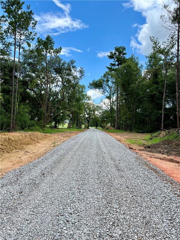 50294 Allen Drive, Loranger, Louisiana image 1