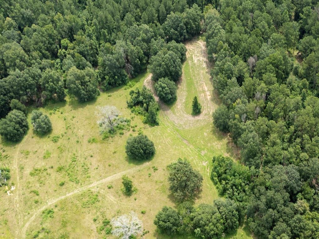 Tract 8 Cyprian Vacant Land Road, Loranger, Louisiana image 16