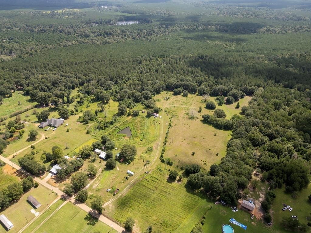 Tract 8 Cyprian Vacant Land Road, Loranger, Louisiana image 2