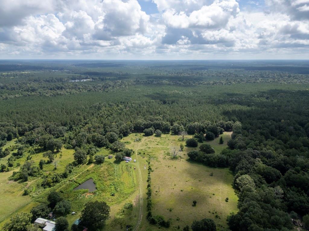 Tract 8 Cyprian Vacant Land Road, Loranger, Louisiana image 28