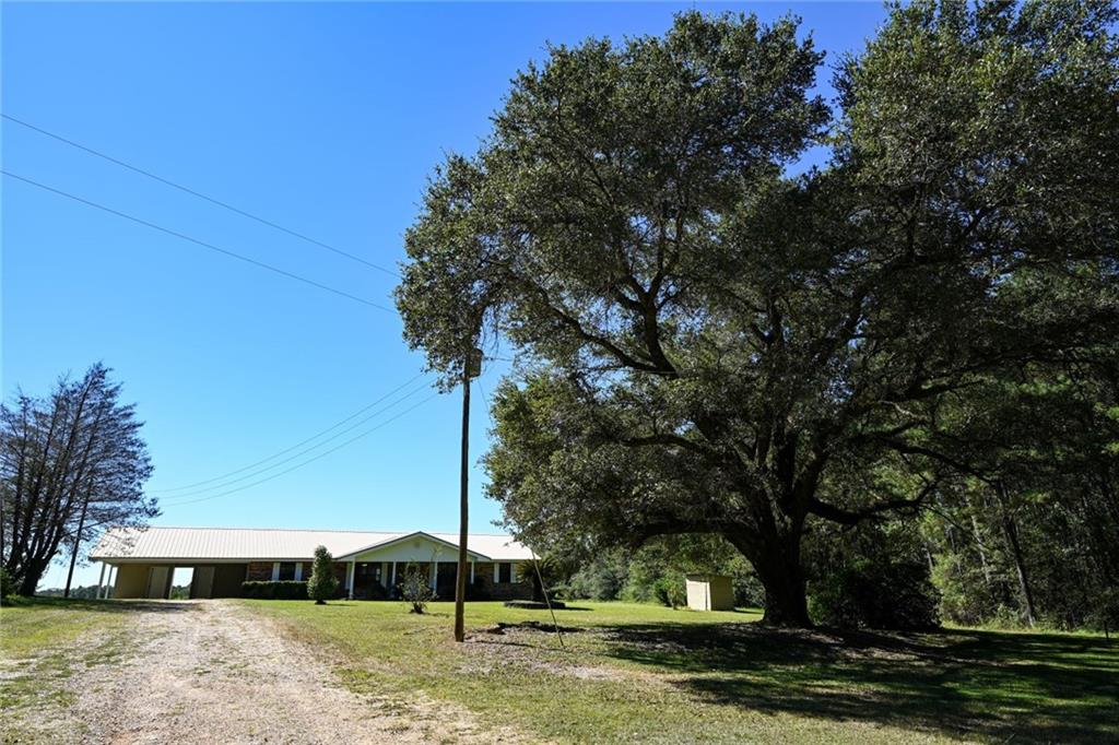 36264 Jw Riles (2acres) Road, Mount Hermon, Louisiana image 1