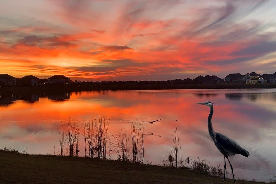 801 Pelican Bay Drive, Slidell, Louisiana image 3