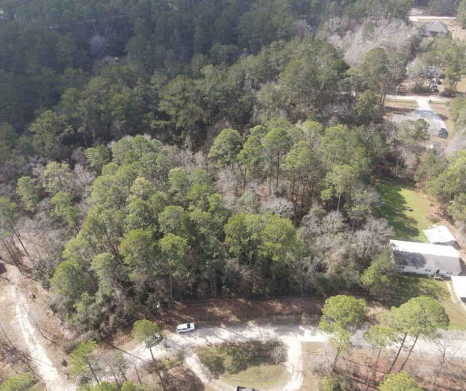 Mashie Street, Abita Springs, Louisiana image 3