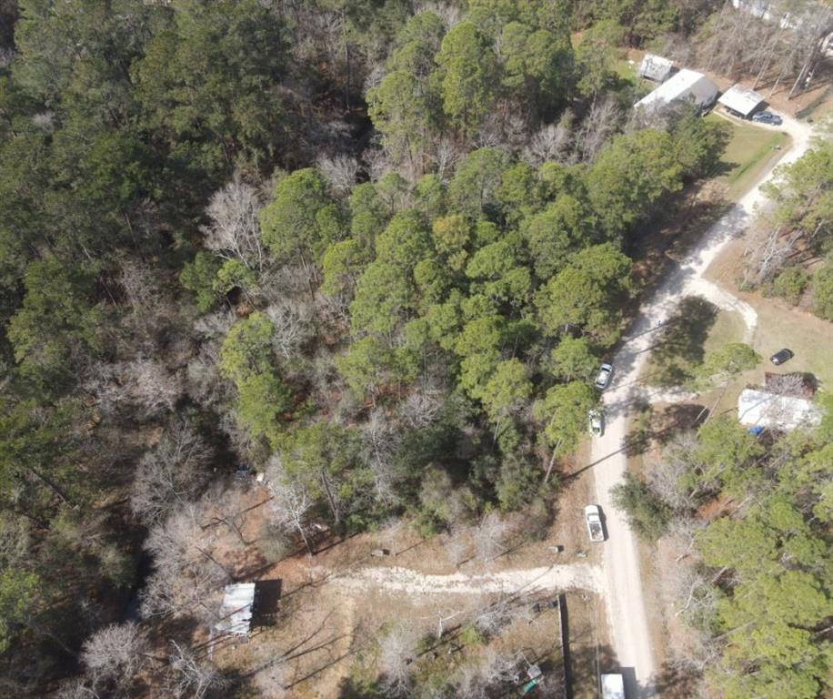 Mashie Street, Abita Springs, Louisiana image 5