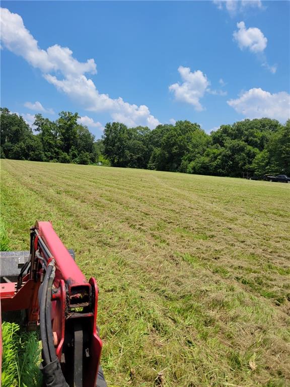 LOT 1-B1-A Ed Yates Road, Pearl River, Louisiana image 4