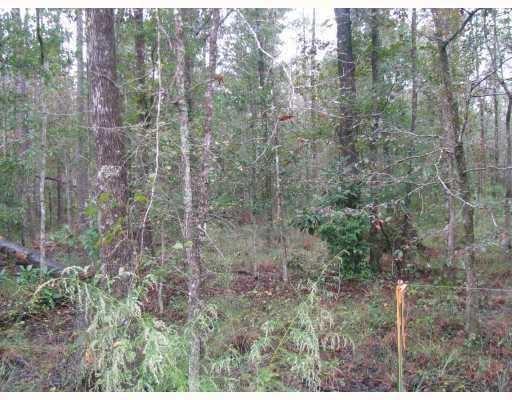 74619 River Road, Covington, Louisiana image 3