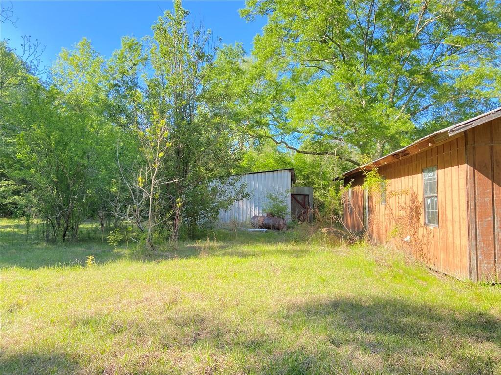 17197 & 17203 Skeet Statham Road, Bogalusa, Louisiana image 15