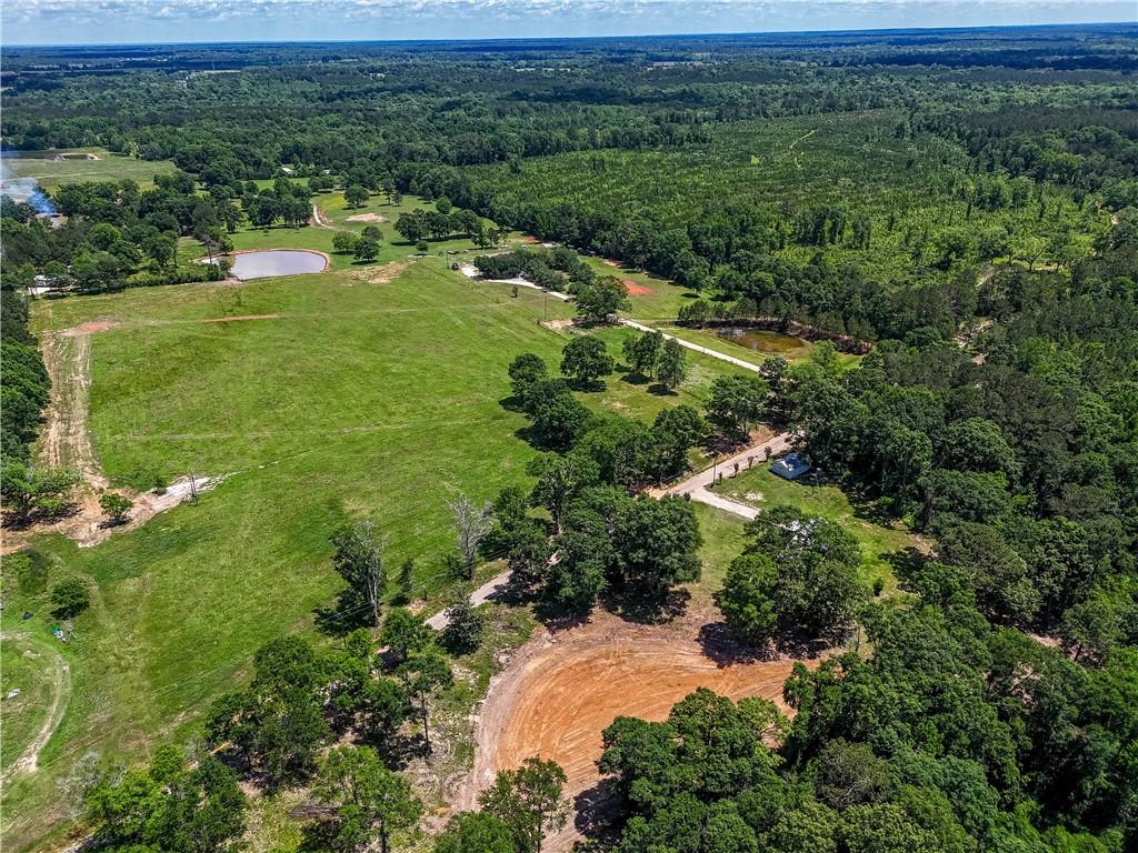 Joby Magee Road, Franklinton, Louisiana image 3