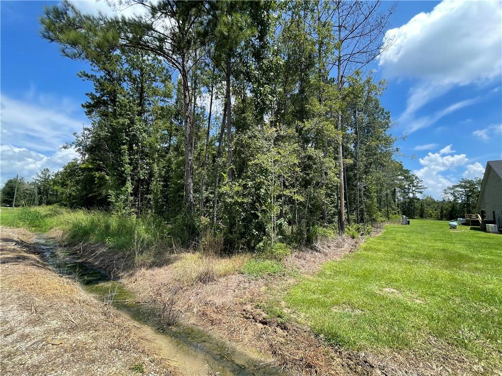 19132 Lost Oak Lane, Livingston, Louisiana image 7