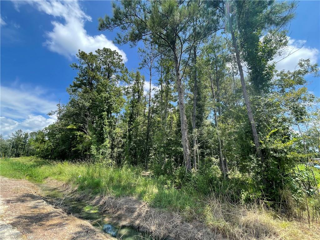 19132 Lost Oak Lane, Livingston, Louisiana image 8