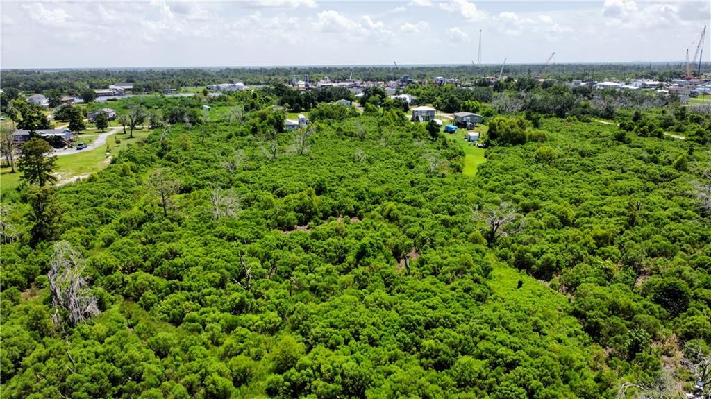 Privateer Boulevard, Barataria, Louisiana image 4