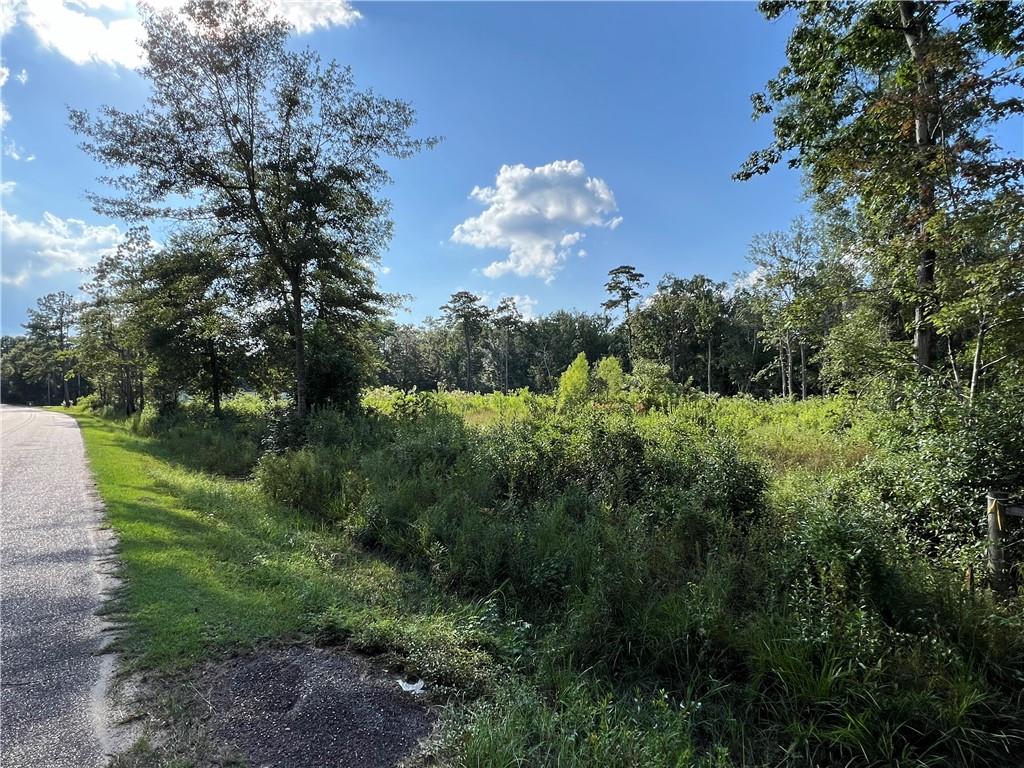 Max Mercer Road, Pearl River, Louisiana image 1