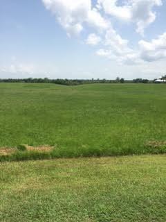 Lot 49 S Chenier Drive, Madisonville, Louisiana image 3