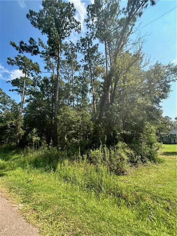 2678 Lucille Drive, Lacombe, Louisiana image 3
