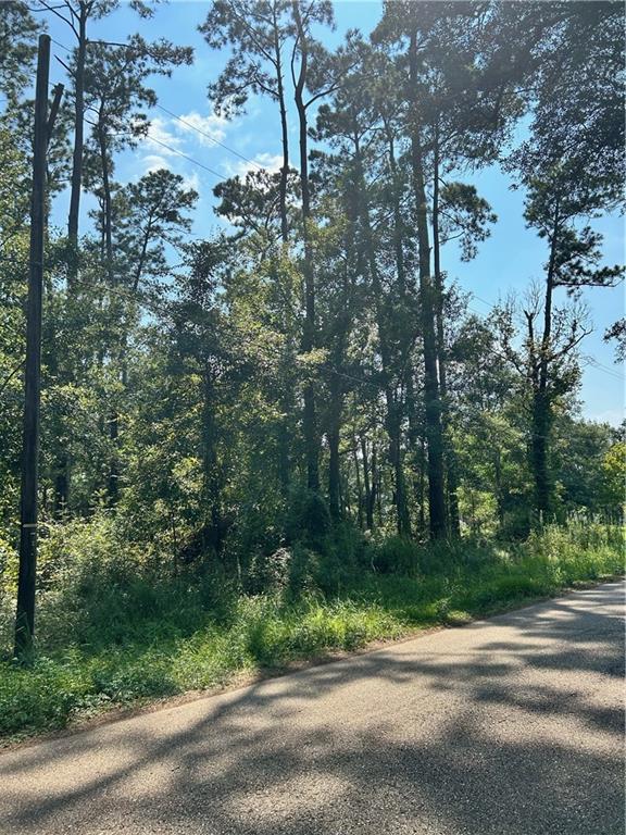 2678 Lucille Drive, Lacombe, Louisiana image 4