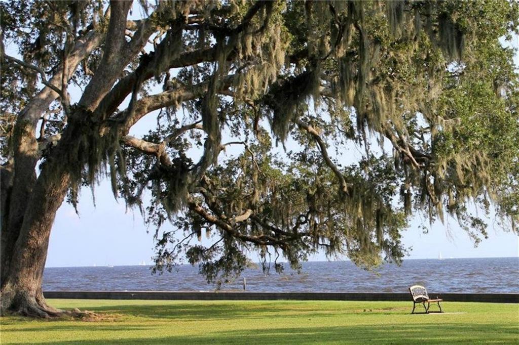 303 Lamarque Street, Mandeville, Louisiana image 30