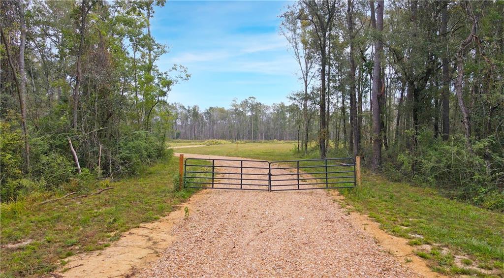 51034 George Road, Independence, Louisiana image 11