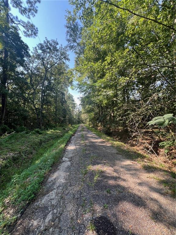 Sauer Drive, Waveland, Mississippi image 8