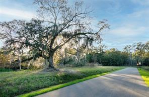 Lot 49 Crossvine Drive, Covington, Louisiana image 3