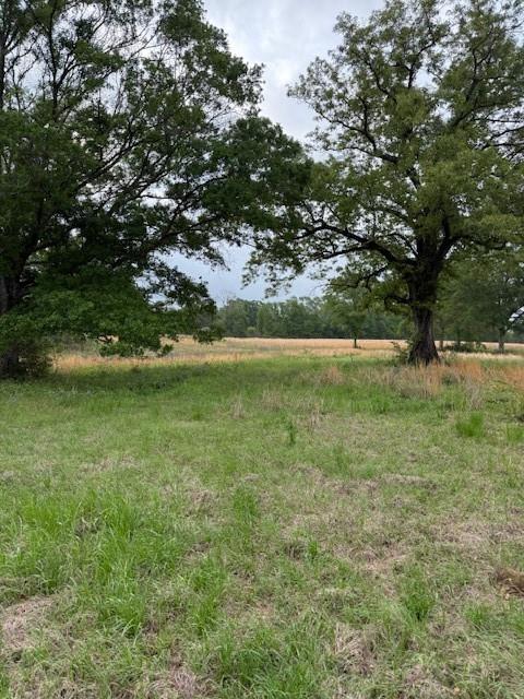 40 Highway, Loranger, Louisiana image 4