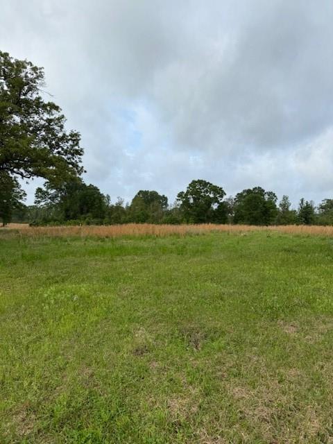 40 Highway, Loranger, Louisiana image 6