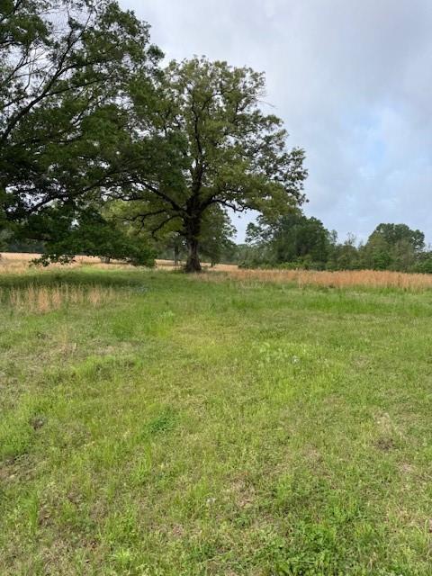 40 Highway, Loranger, Louisiana image 7