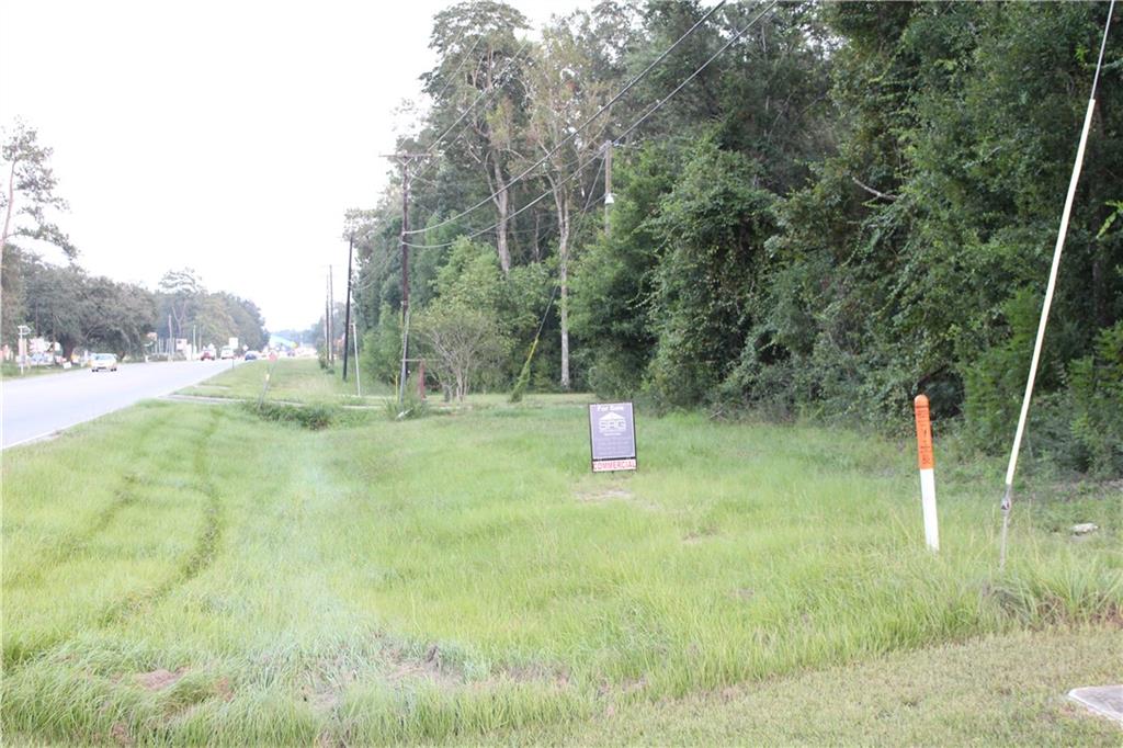 Highway 41, Pearl River, Louisiana image 2