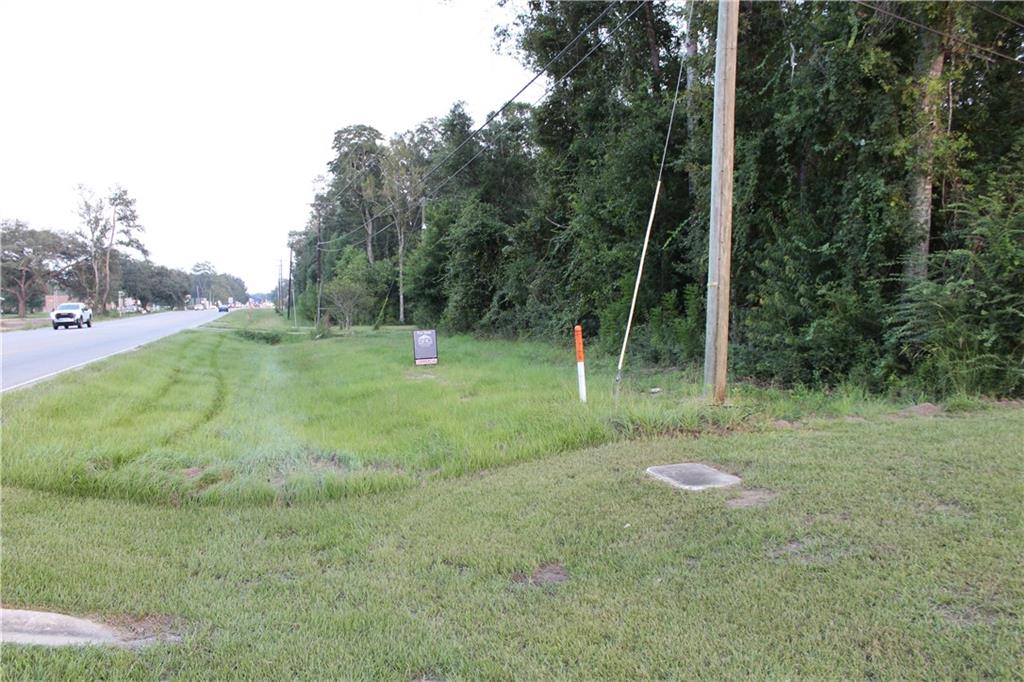 Highway 41, Pearl River, Louisiana image 3