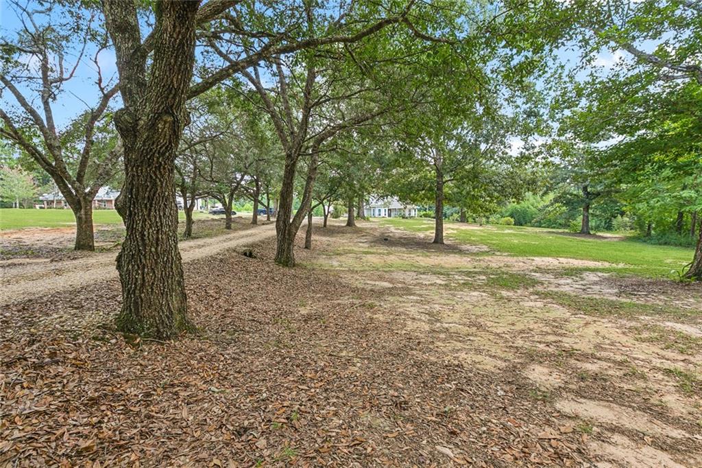 22317 Sharp Chapel Road, Bush, Louisiana image 3