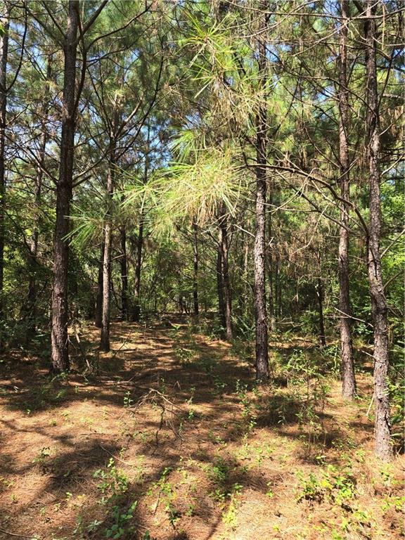 Weinberger Road, Ponchatoula, Louisiana image 2