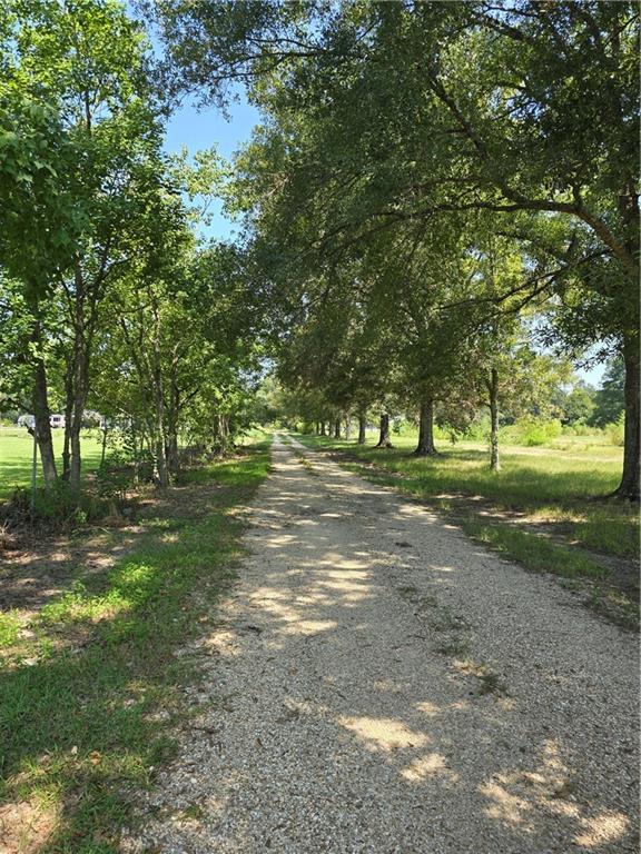 Weinberger Road, Ponchatoula, Louisiana image 4