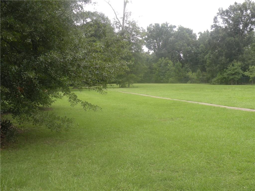 Northwest Railroad Street, Ponchatoula, Louisiana image 3