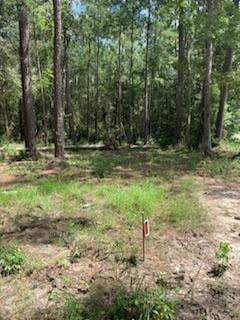 Lot 29 Cypress Street, Lacombe, Louisiana image 1