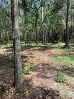 Lot 29 Cypress Street, Lacombe, Louisiana image 2