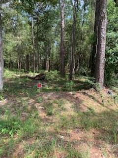 Lot 29 Cypress Street, Lacombe, Louisiana image 5