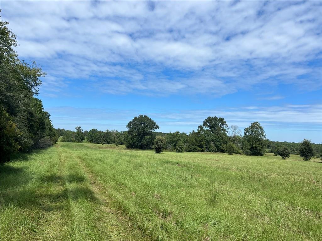 Lanaux Farm Road, Loranger, Louisiana image 1