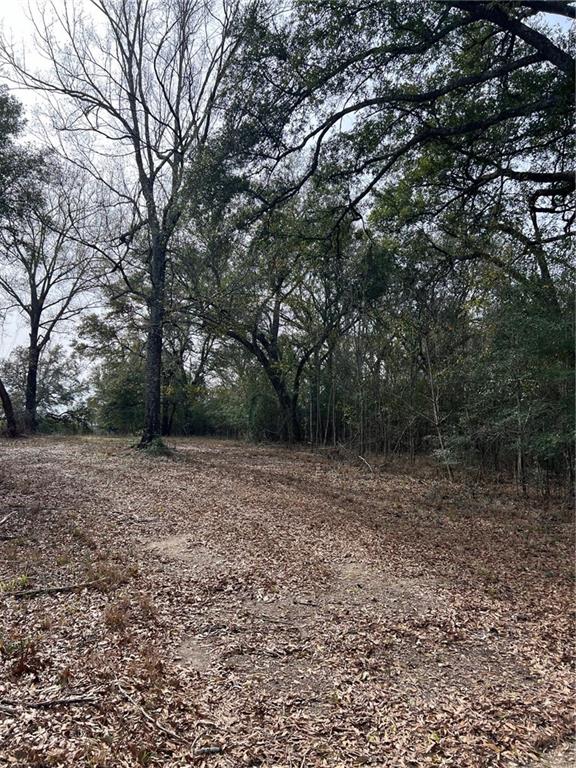 Lanaux Farm Road, Loranger, Louisiana image 14